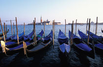 Row of Gondolas and San Giorgio Maggiore von Danita Delimont