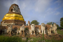 Singhat Wat Thammikarat von Danita Delimont