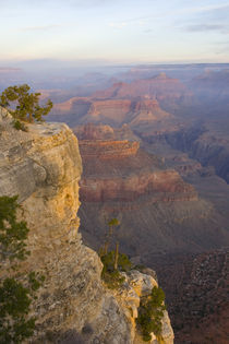 Sunrise at Yavapai Point by Danita Delimont