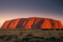 Uluru or Ayer's Rock von Danita Delimont
