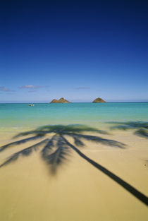 Lanikai Beach von Danita Delimont