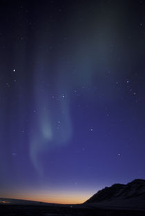 Northern lights (aurora borealis); curtain of green light over Fortress Mountain von Danita Delimont