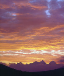Sunset over the Sierra Nevada Mountains von Danita Delimont
