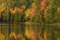 Fall reflections at Bubble Pond by Danita Delimont