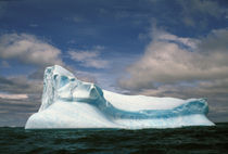 Iceberg von Danita Delimont