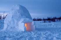 Arctic igloo with candle light inside von Danita Delimont