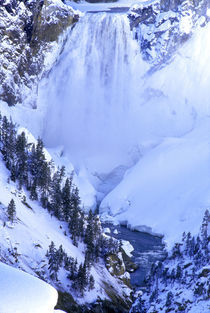 Winter scenic at Grand Canyon of the Yellowstone by Danita Delimont