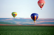 Colorful hot air balloons float over wheat fields in Walla Walla von Danita Delimont