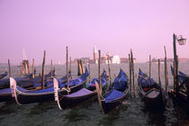 Gondolas ready for tourists in Venice Italy von Danita Delimont