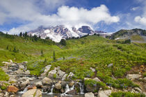 Edith Creek and wildflower meadows at Paradise in Mount Rainier National Park in Washington von Danita Delimont