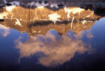 The Ramparts (3040 meters) viewed in reflection von Danita Delimont