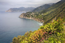 Coastal hiking area between the villages of Manarola and Corniglia in Cinque Terre von Danita Delimont