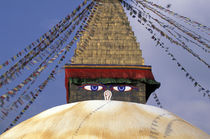 Bouddhanath Stupa von Danita Delimont