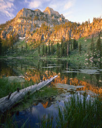 Wasatch-Cache National Forest von Danita Delimont