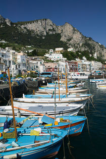 CAPRI: Marina di Caterola / Capri Town Port by Danita Delimont