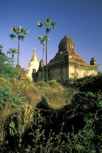 Kubyauk-Gyi Temple von Danita Delimont