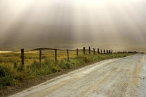 Country road lit by sun rays von Danita Delimont