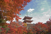 Pagoda in Autumn colour von Danita Delimont