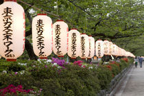 Paper lanterns along road leading to Tsurugaoka Hachimangu shrine von Danita Delimont