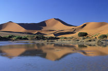 Sossusvlei Dunes by Danita Delimont