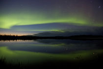 The northern lights reflect in a pond von Danita Delimont