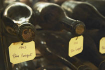 Two old bottles of Clos de Vougeot 1845 and one bottle from 1846 von Danita Delimont