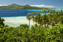 Scenics and grounds of beautiful resort in Bora Bora by Danita Delimont