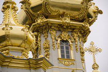 Peterhof Palace (aka Petrodvorets) building detail von Danita Delimont