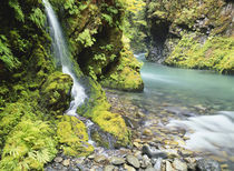 Seasonal waterfall near Graves Creek by Danita Delimont