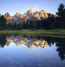 Grand Teton Mountains reflecting in the Snake River at sunrise by Danita Delimont