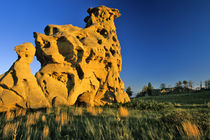 Medicine Rocks State Park near Ekalaka Montana by Danita Delimont