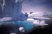 Antarctic icescapes von Danita Delimont