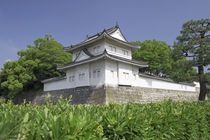 Nijo Castle von Danita Delimont