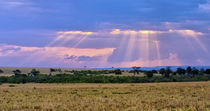 Sun setting on the Masai Mara by Danita Delimont