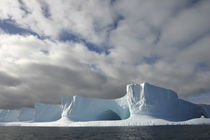 Afternoon sun lights massive tabular iceberg near Livingstone Island by Danita Delimont