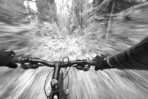 Cruising down a buff section of singletrack trail from the riders perspective near West Glacier Montana von Danita Delimont