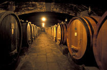 Chianti cellars von Danita Delimont