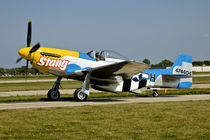 North American P-51 D Stang on the runway by Danita Delimont
