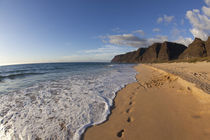 Beach landscape von Danita Delimont