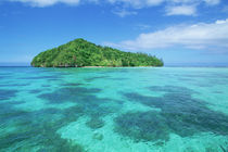 Micronesia von Danita Delimont
