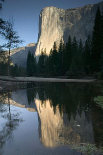 ) Dawn View w/Merced River Reflection von Danita Delimont