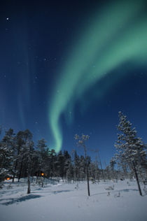 The Aurora borealis by Danita Delimont