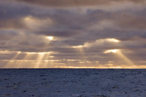 God rays pierce stormy clouds above ocean by Danita Delimont