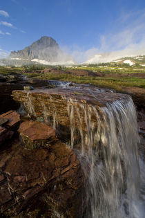 The Hanging Gardens at Logan Pass in Glacier National Park in Montana von Danita Delimont