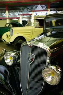 Peugeot Cars of the 1930's by Danita Delimont