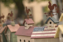 Cedarburg: Quaint Wisconsin Village Painted Birdhouses von Danita Delimont
