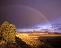 Rainbow from Gooseberry Mesa looking to Smithsonian Butte near Virgin Utah von Danita Delimont