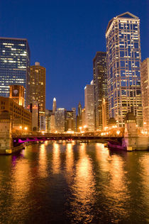 Skyline and Chicago River at Night by Danita Delimont