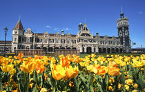 Dunedin Railway Station by Danita Delimont