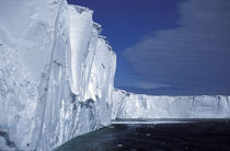 Mertz Glacier von Danita Delimont